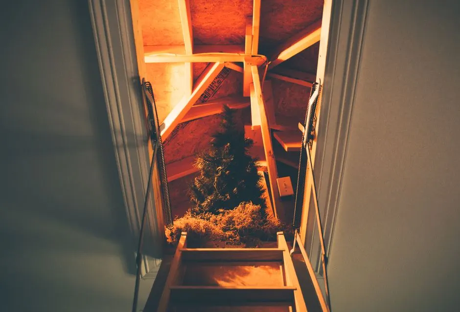 How much does attic insulation removal cost in Milwaukie